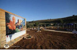 Khai trương dự án “Vườn thương xót” giúp đỡ người tị nạn